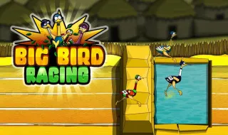 Big Birds Racing